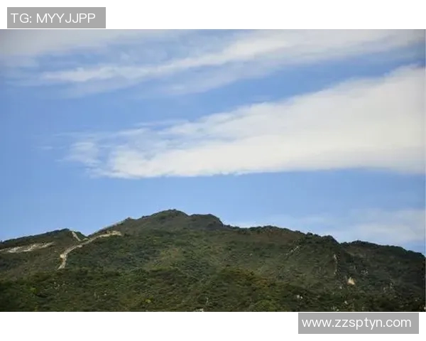 明星小区篮球场美丽风景图赏析与运动乐趣分享